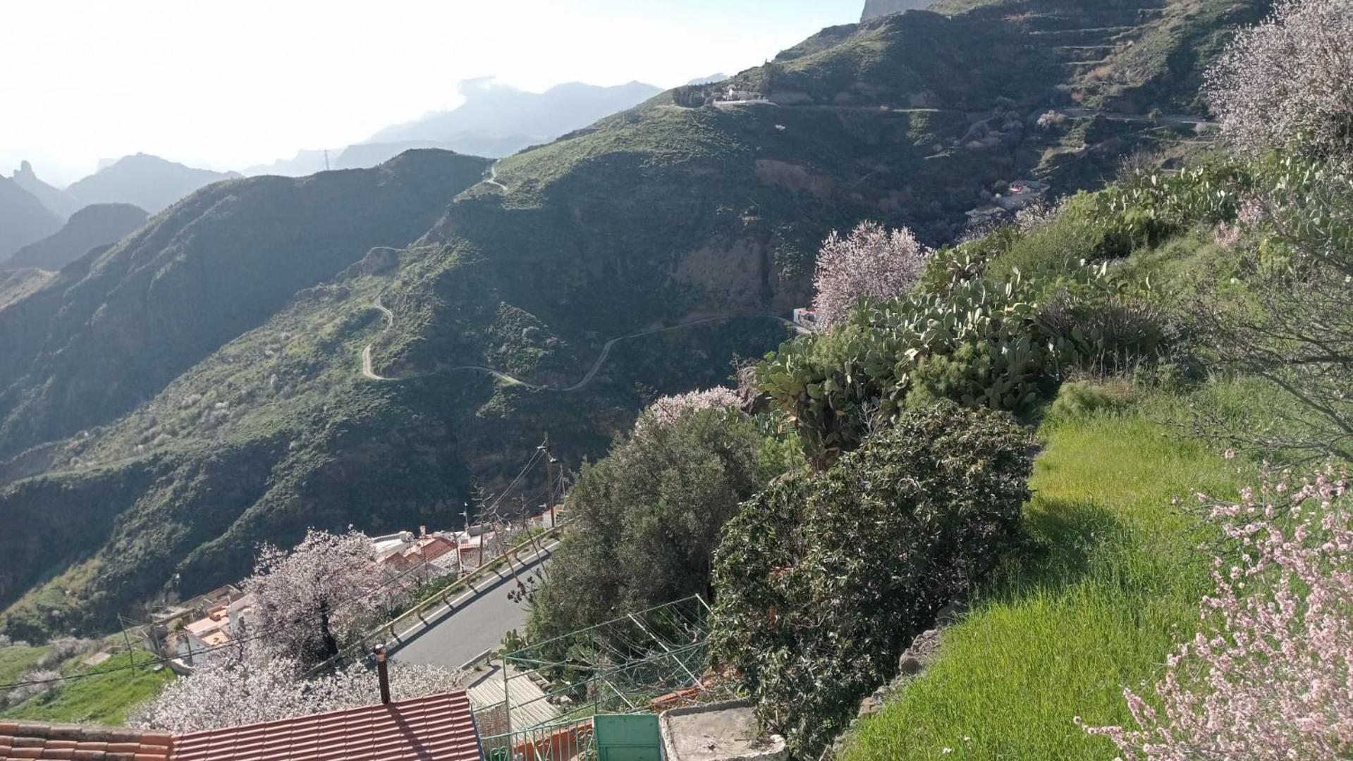 테헤다 El Rincon Del Nublo 게스트하우스 외부 사진