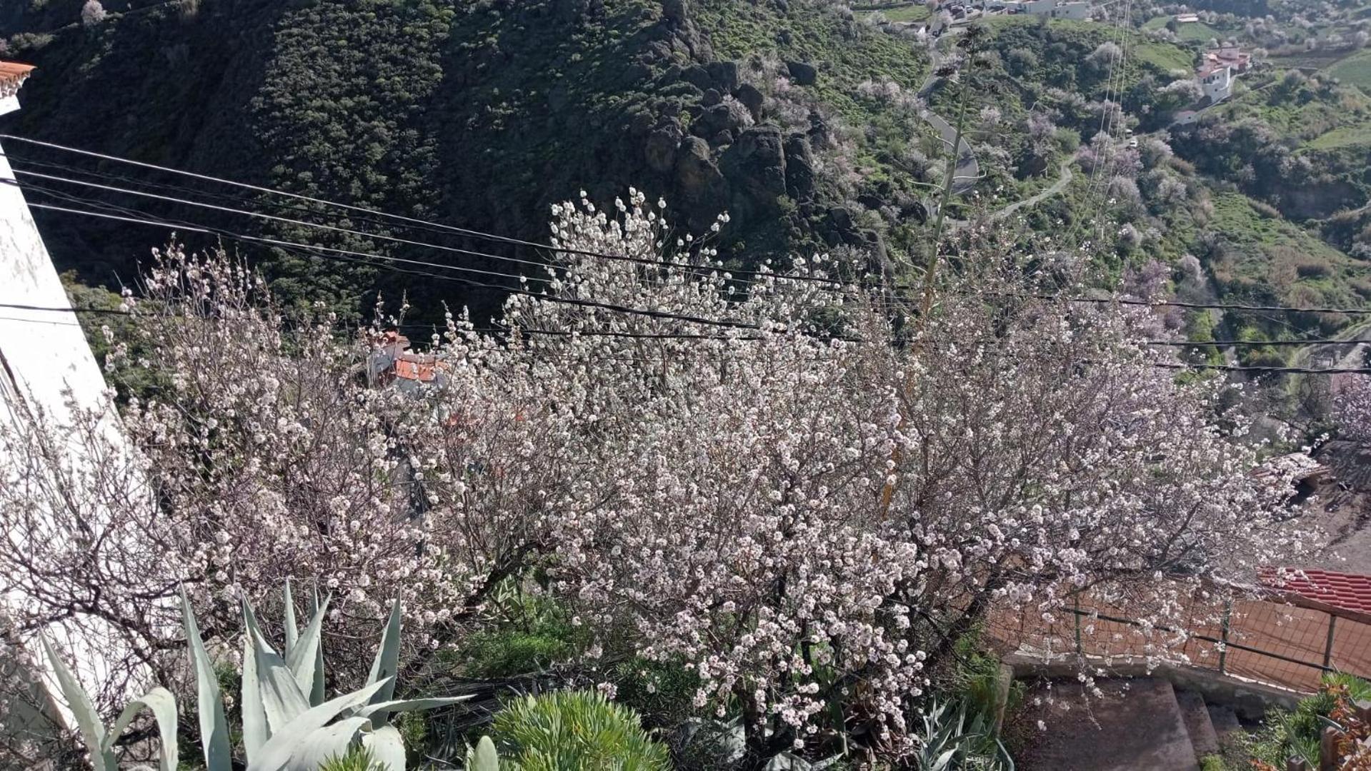 테헤다 El Rincon Del Nublo 게스트하우스 외부 사진